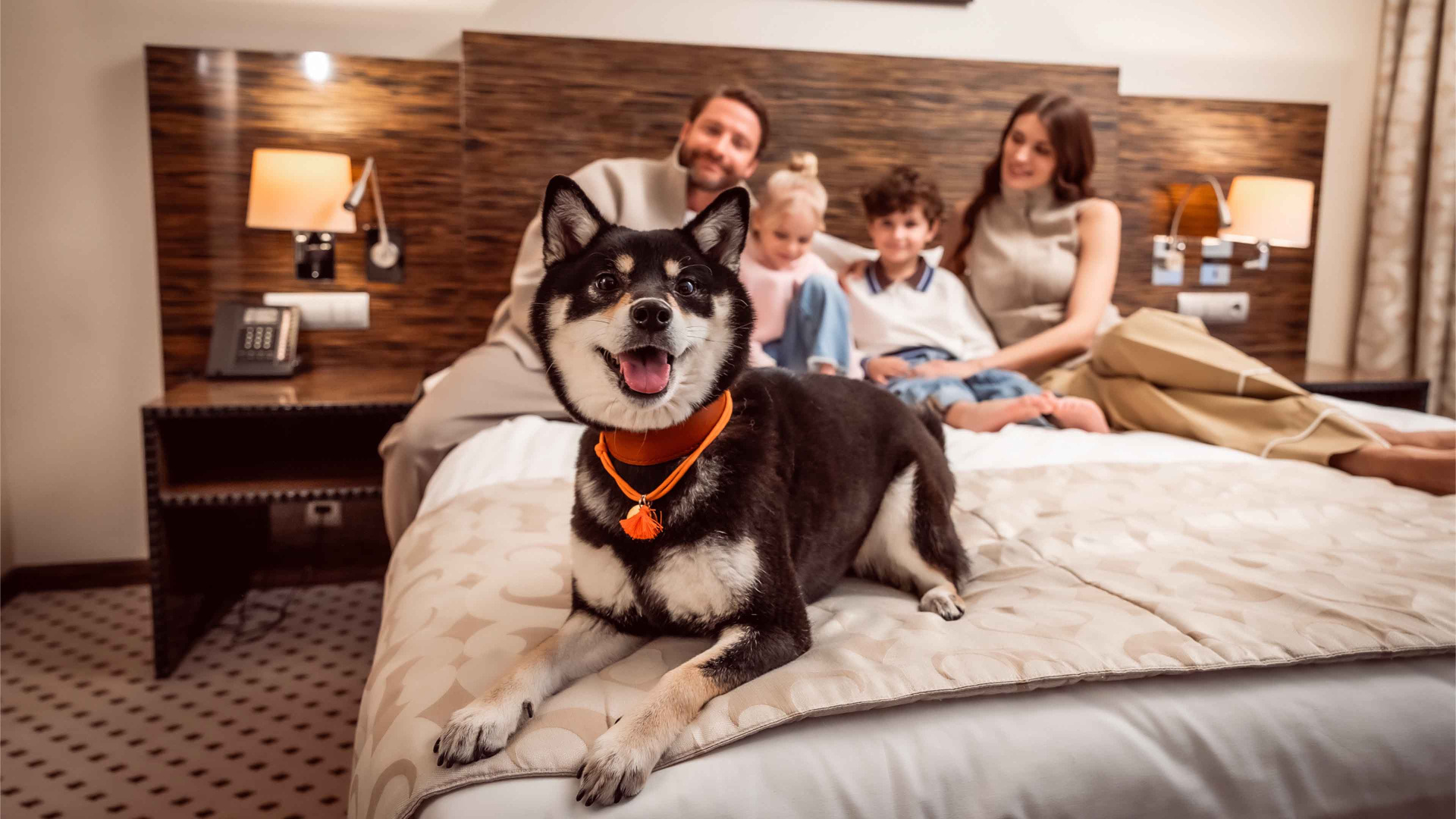 Рады Вашим питомцам